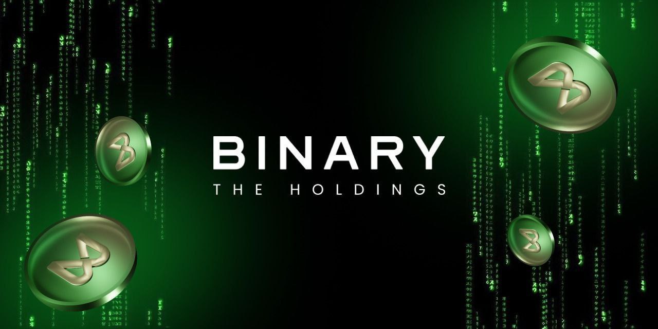 BINARY HOLDINGS LOGO